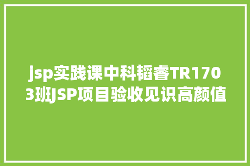 jsp实践课中科韬睿TR1703班JSP项目验收见识高颜值学霸