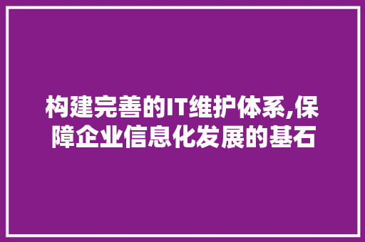 构建完善的IT维护体系,保障企业信息化发展的基石