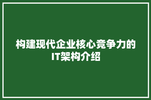 构建现代企业核心竞争力的IT架构介绍