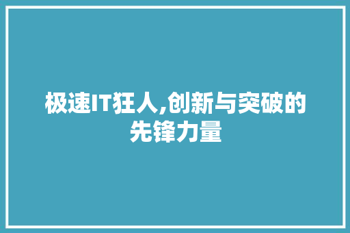 极速IT狂人,创新与突破的先锋力量