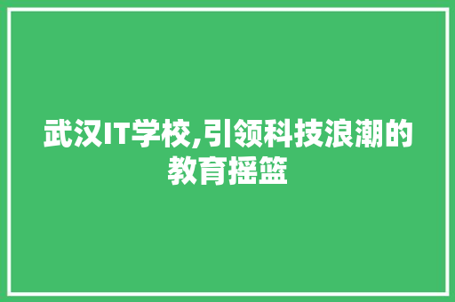 武汉IT学校,引领科技浪潮的教育摇篮