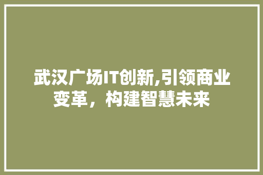 武汉广场IT创新,引领商业变革，构建智慧未来