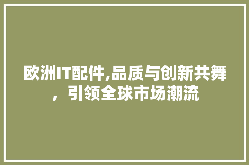 欧洲IT配件,品质与创新共舞，引领全球市场潮流