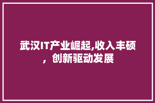 武汉IT产业崛起,收入丰硕，创新驱动发展