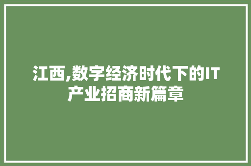 江西,数字经济时代下的IT产业招商新篇章