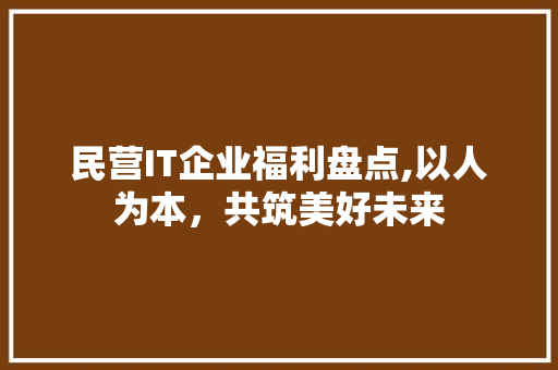 民营IT企业福利盘点,以人为本，共筑美好未来