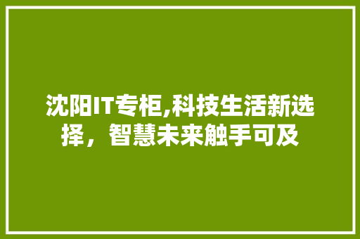 沈阳IT专柜,科技生活新选择，智慧未来触手可及