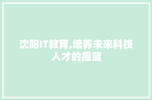 沈阳IT教育,培养未来科技人才的摇篮