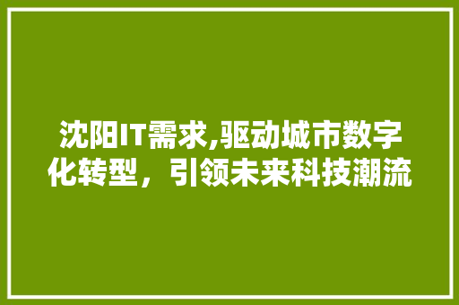 沈阳IT需求,驱动城市数字化转型，引领未来科技潮流