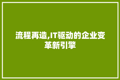 流程再造,IT驱动的企业变革新引擎