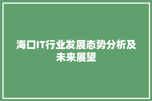 海口IT行业发展态势分析及未来展望