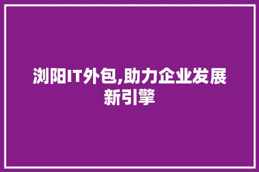 浏阳IT外包,助力企业发展新引擎