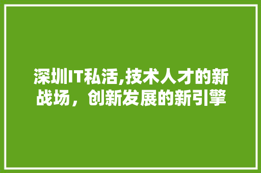 深圳IT私活,技术人才的新战场，创新发展的新引擎