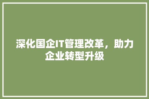 深化国企IT管理改革，助力企业转型升级