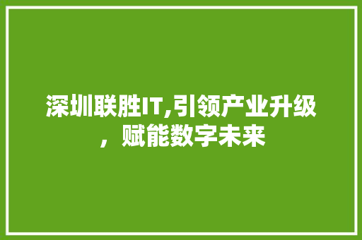 深圳联胜IT,引领产业升级，赋能数字未来