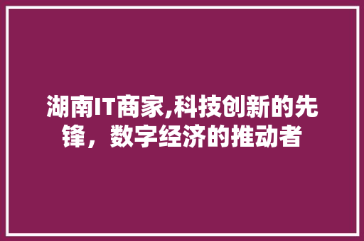 湖南IT商家,科技创新的先锋，数字经济的推动者