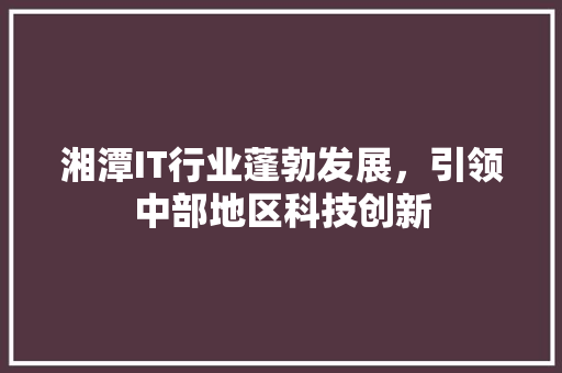 湘潭IT行业蓬勃发展，引领中部地区科技创新