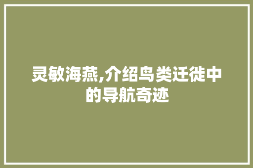 灵敏海燕,介绍鸟类迁徙中的导航奇迹