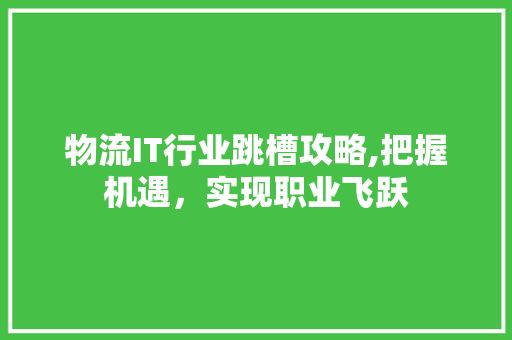 物流IT行业跳槽攻略,把握机遇，实现职业飞跃 NoSQL