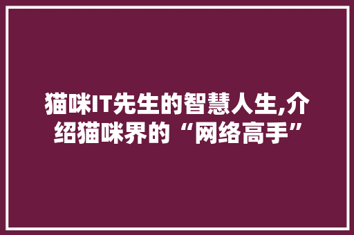 猫咪IT先生的智慧人生,介绍猫咪界的“网络高手”