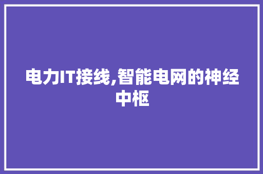 电力IT接线,智能电网的神经中枢