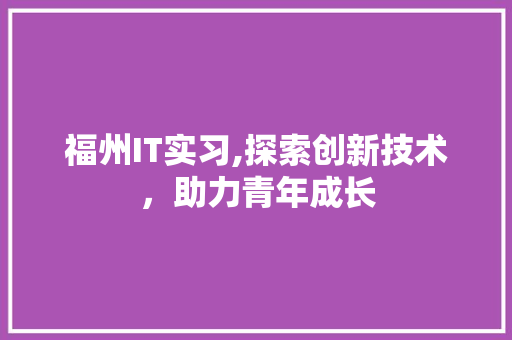 福州IT实习,探索创新技术，助力青年成长