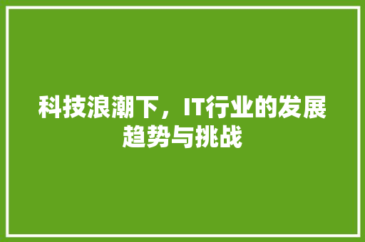 科技浪潮下，IT行业的发展趋势与挑战