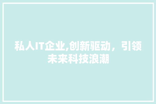 私人IT企业,创新驱动，引领未来科技浪潮