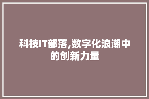 科技IT部落,数字化浪潮中的创新力量