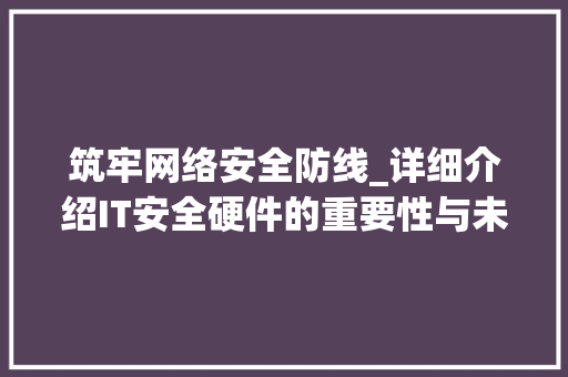 筑牢网络安全防线_详细介绍IT安全硬件的重要性与未来发展