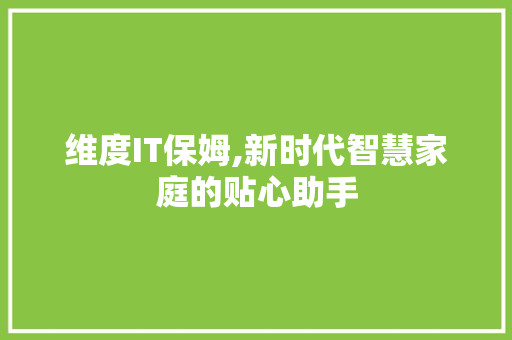 维度IT保姆,新时代智慧家庭的贴心助手