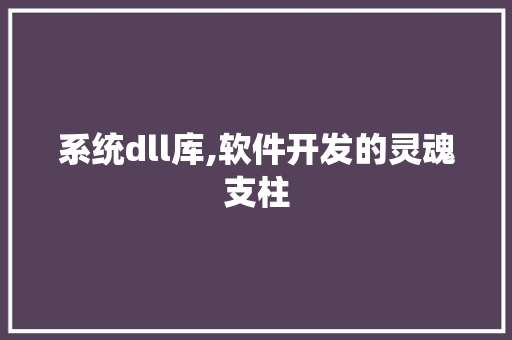 系统dll库,软件开发的灵魂支柱