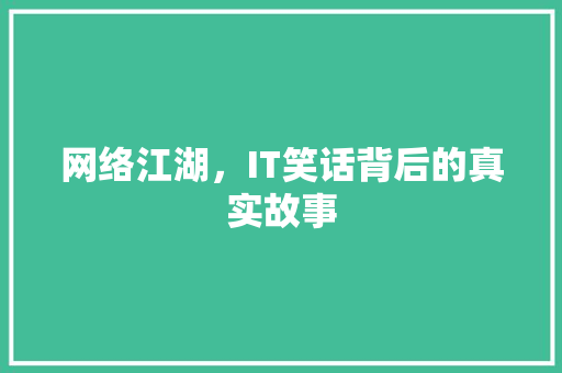 网络江湖，IT笑话背后的真实故事