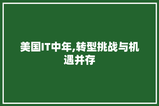 美国IT中年,转型挑战与机遇并存