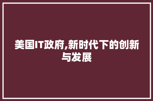 美国IT政府,新时代下的创新与发展