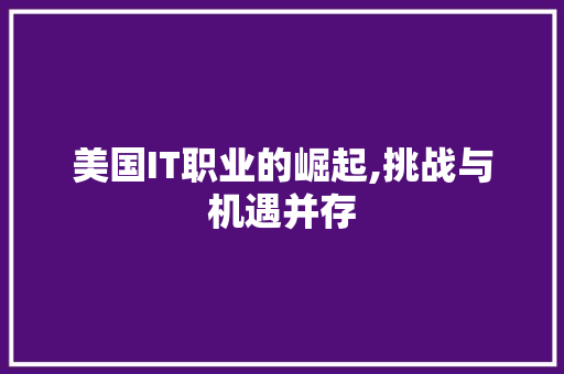 美国IT职业的崛起,挑战与机遇并存