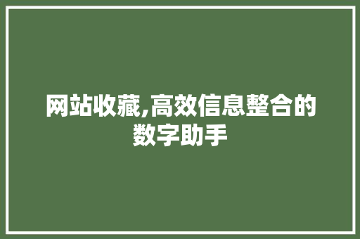 网站收藏,高效信息整合的数字助手