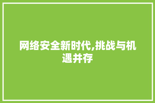 网络安全新时代,挑战与机遇并存