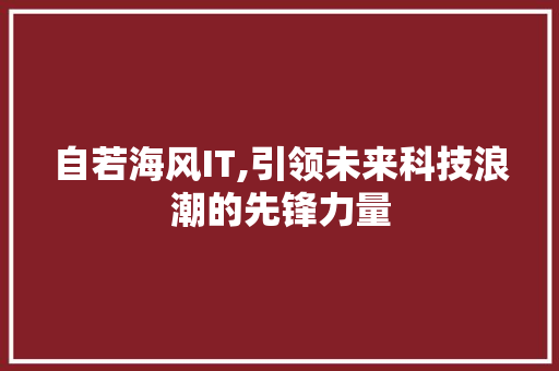 自若海风IT,引领未来科技浪潮的先锋力量