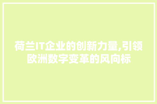 荷兰IT企业的创新力量,引领欧洲数字变革的风向标