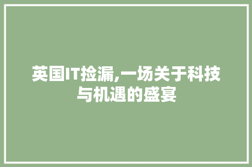 英国IT捡漏,一场关于科技与机遇的盛宴