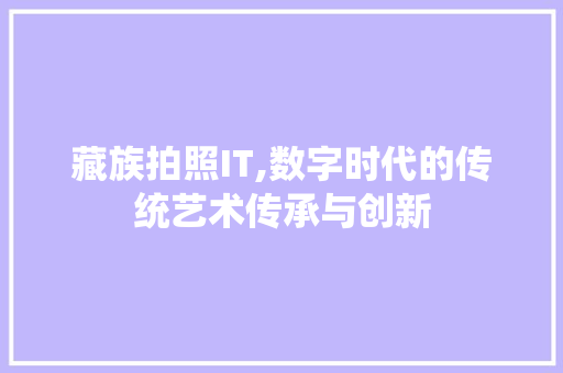 藏族拍照IT,数字时代的传统艺术传承与创新