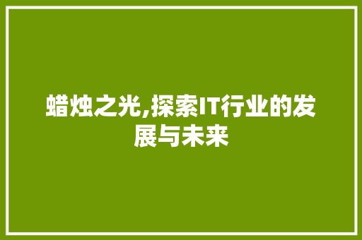 蜡烛之光,探索IT行业的发展与未来