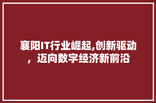 襄阳IT行业崛起,创新驱动，迈向数字经济新前沿