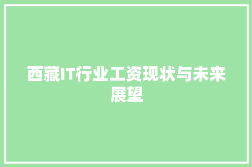 西藏IT行业工资现状与未来展望