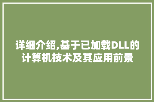 详细介绍,基于已加载DLL的计算机技术及其应用前景