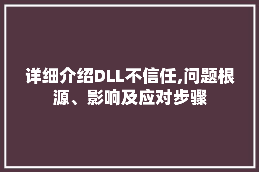 详细介绍DLL不信任,问题根源、影响及应对步骤