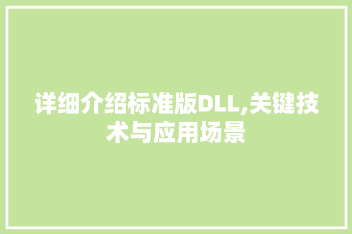 详细介绍标准版DLL,关键技术与应用场景