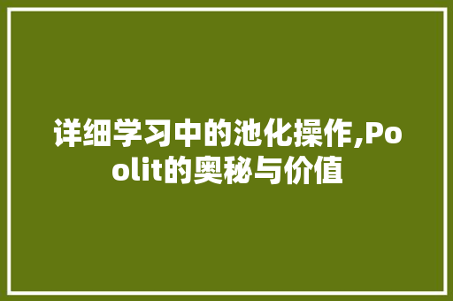 详细学习中的池化操作,Poolit的奥秘与价值 JavaScript