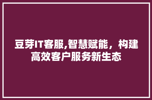 豆芽IT客服,智慧赋能，构建高效客户服务新生态